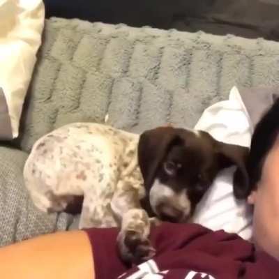 &ldquo;Okay, I&rsquo;m comfy now&rdquo;
