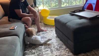 To take his first step, it&rsquo;s a doozy!