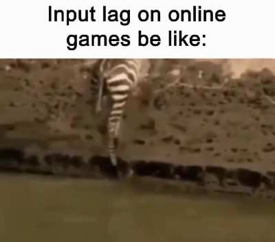 "That Zebra use cheats!"
