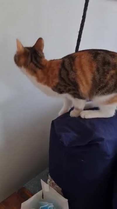 I don't know what she's even trying to achieve