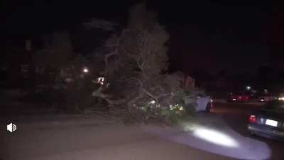 WCGW Shining a bright light in a drivers face instead of the hazard in the road