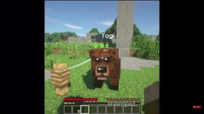 Yogi was a g