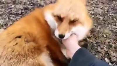 highly recommend it with sound on