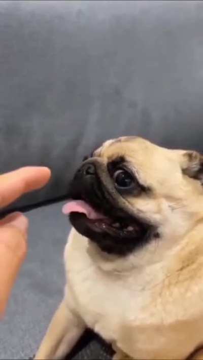 MaN ReCoRdS Final MoMeNtS As He's AtTackEd by ApEx PrEdAtoR