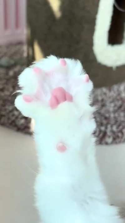 Baby foot