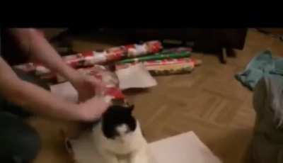 wunk&lrm;&lrm;&lrm; mas gift