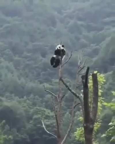 Nothing to see here *Nonchalant whistling*