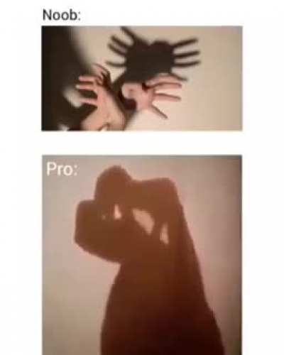 XD