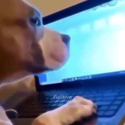 Yaba Daba doo