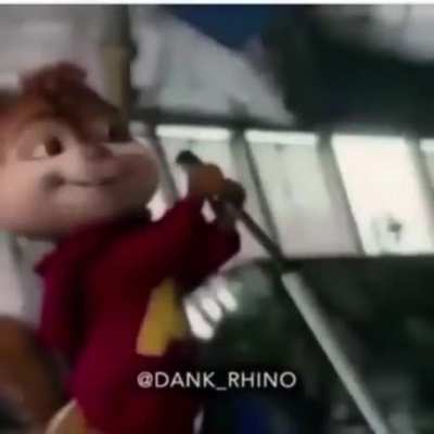 AAALVIIIN