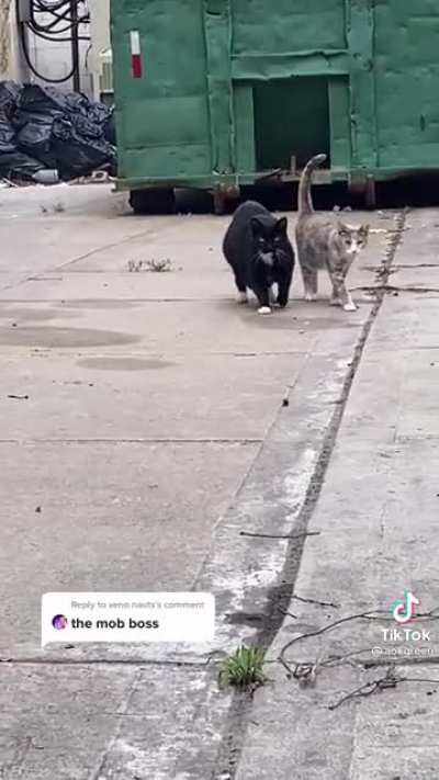 G A B A G O O L