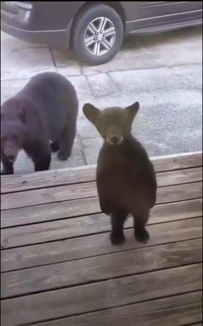 Mi pana rafita mirando la paja grupal a trav&eacute;s del cristal