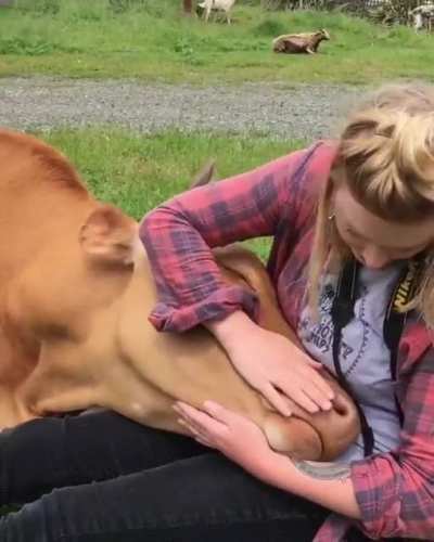 What a Big boi