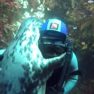 Sea good boi still a good boi