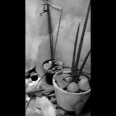 Tom &amp;amp; Jerry Live Action Figure