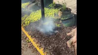 my yard was on fire