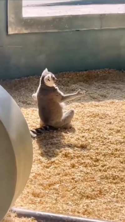 When the sunshine hits just right.