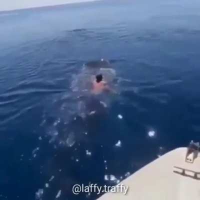 Ballena