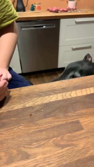 Wanted to see if Al would eat a lime