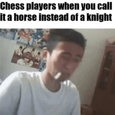 It&rsquo;s not a knight it is obviously a horse