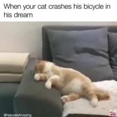That dreams 😂