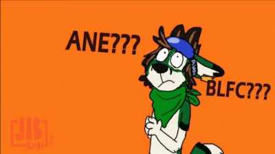 furry_irl