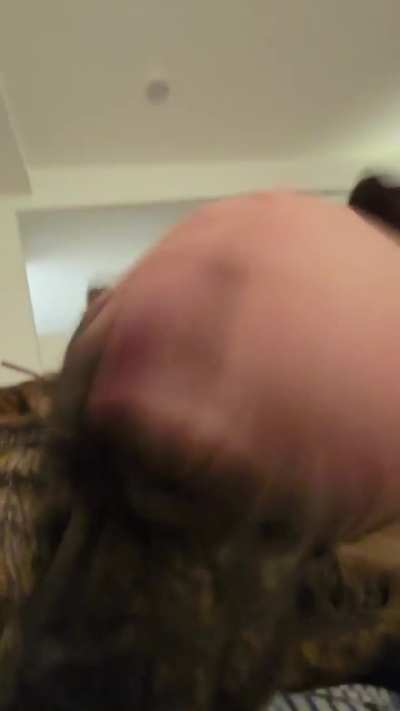 Petting the goofs