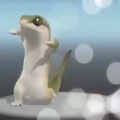 E macaco p&otilde;e ovo?
