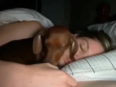 He&rsquo;s just so precious