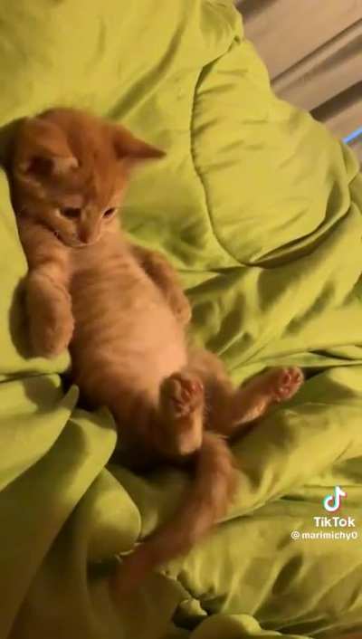 &ldquo;What the heck is this?&rdquo;