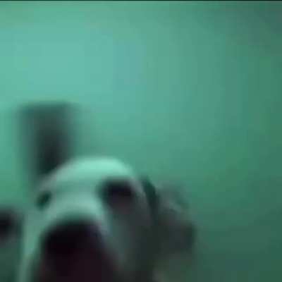 Glizzy Dog Wrld