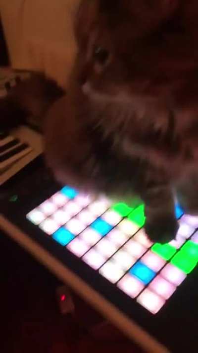 Popular cat musican with his famous track: "Loafing on the moon"