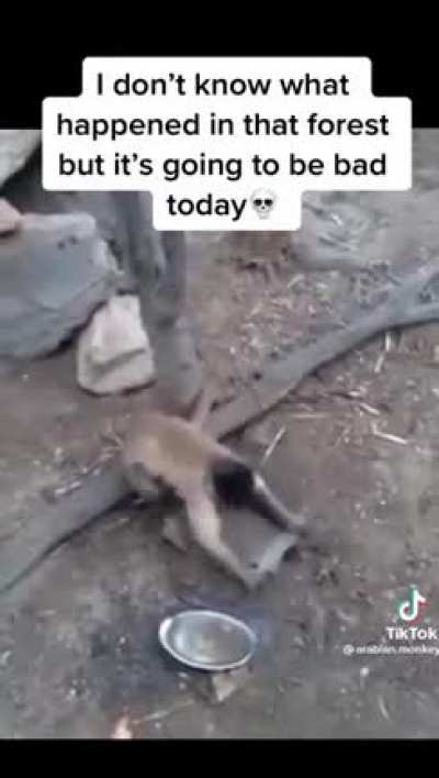 not oc