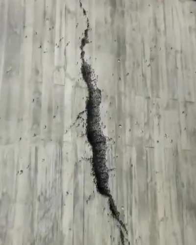 破墙