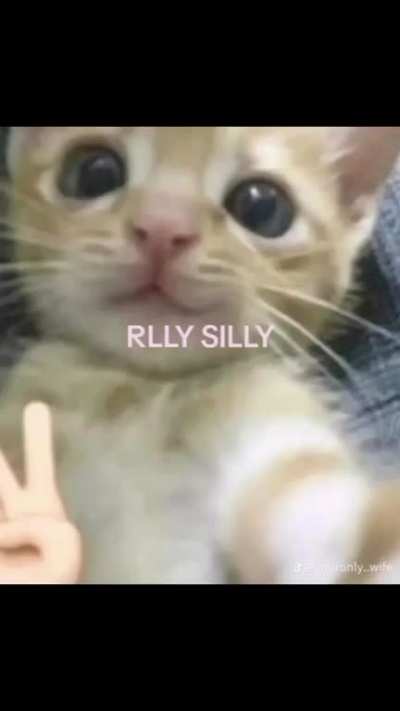 Wunky Question