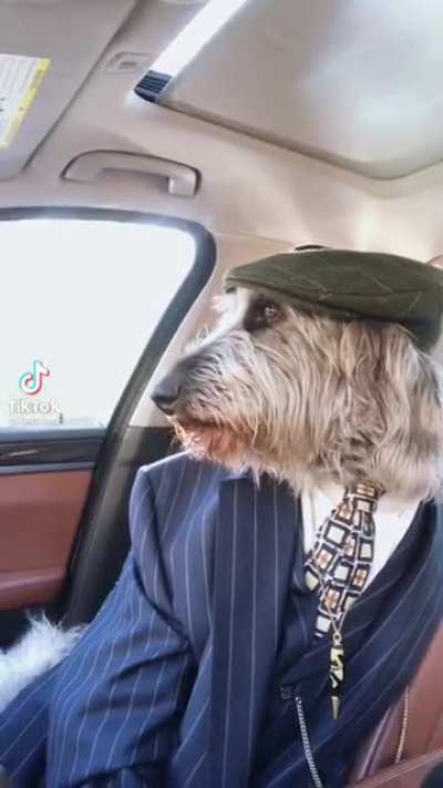 Two gentlemen in a car