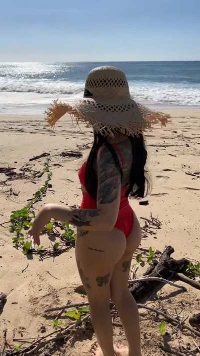 Bella on the beach