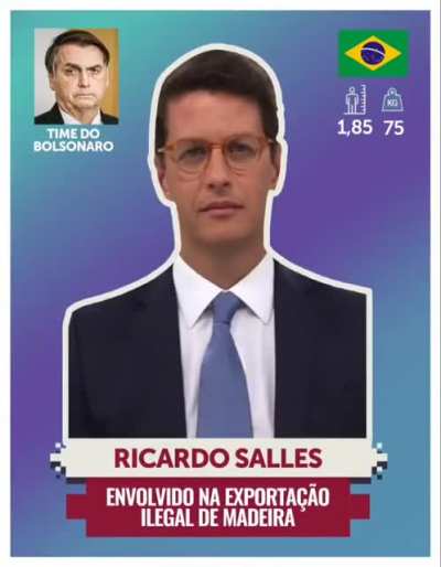 Conheça o álbum de figurinhas do Bolsonaro nessa copa