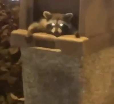 Hey, how&rsquo;s it going?