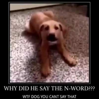 dogger