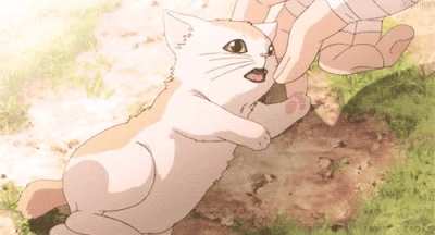 neko :&amp;gt;