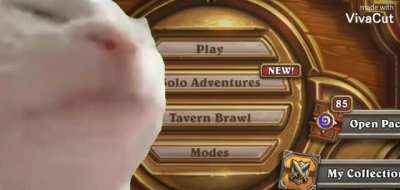Everytime I open Hearthstone...