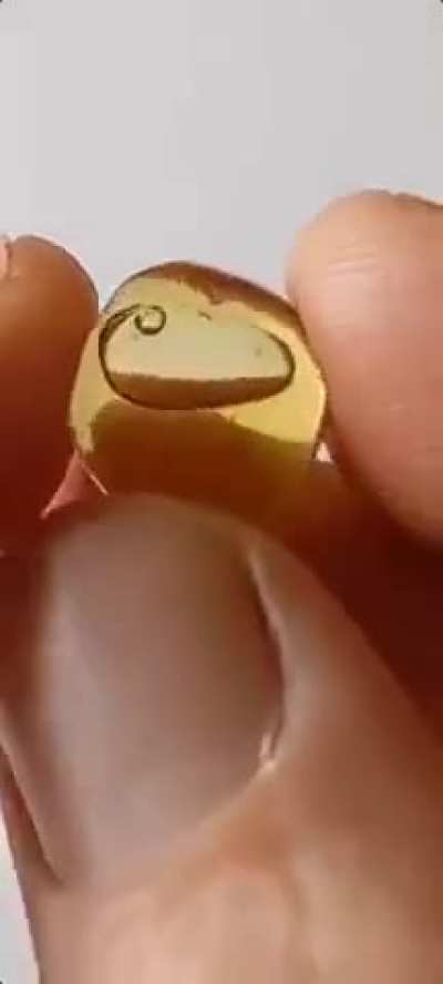 20 million year old air bubble trapped in amber.