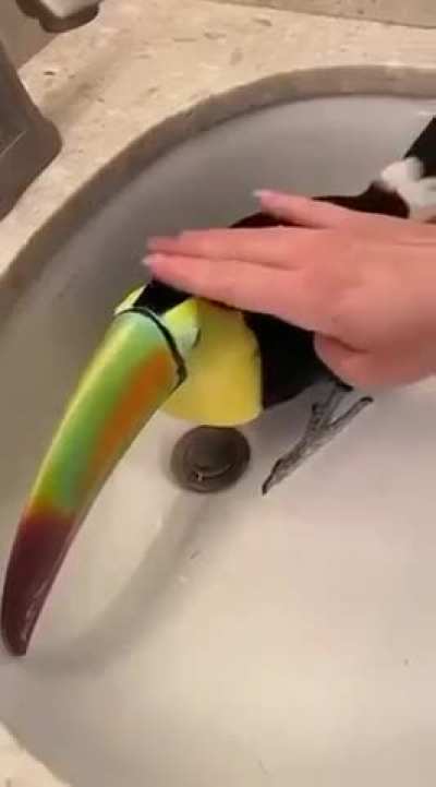 196 - Video #4388