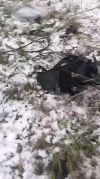Russian soldiers examine the torn bodies of their comrades after an FPV drone attack on their position in Donetsk Oblast. Part 2