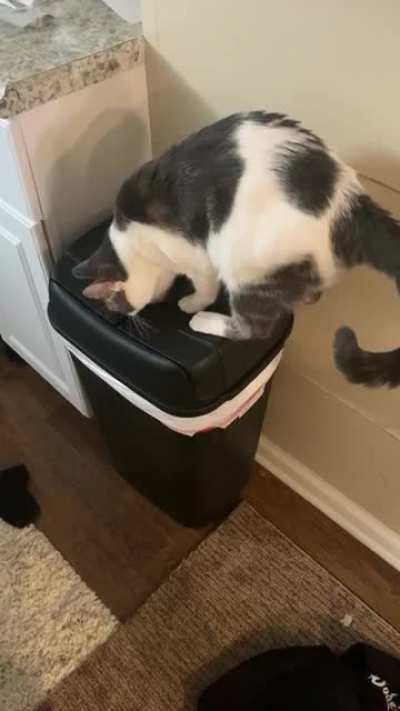 Wait for it...