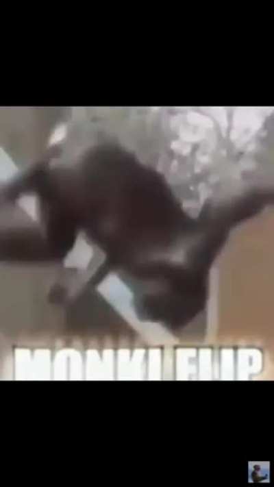 revert back to monke