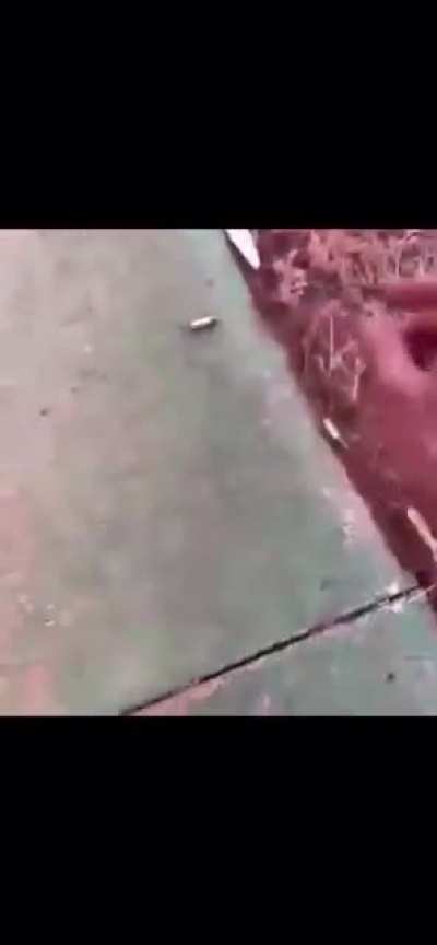 Man hits live ammo with hammer and shoots himself in the leg