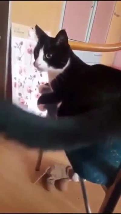 TOMO