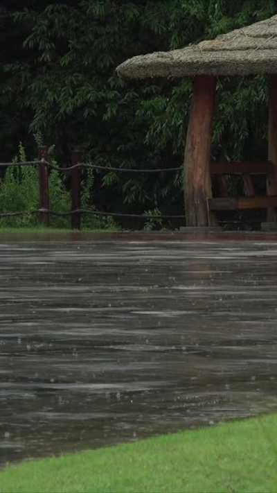 [RainMuse]rainy day